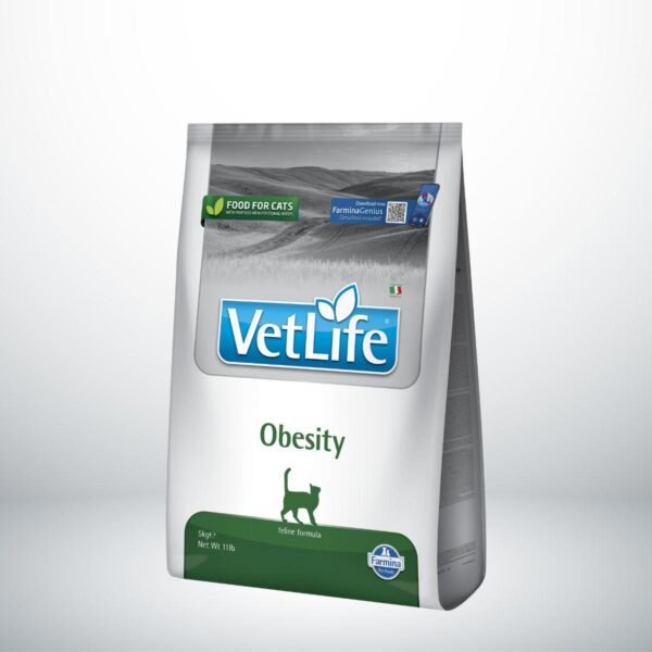 pienso obesidad para gatos Farmina Vet Life Obesity