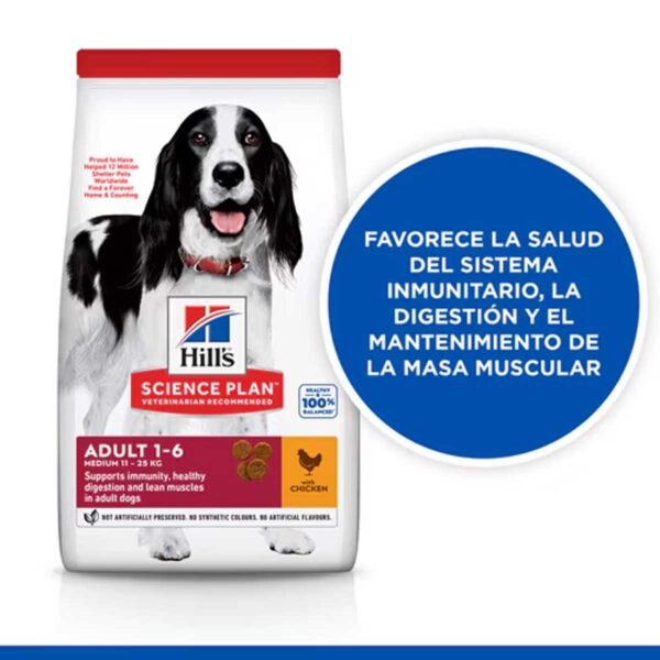 604354- Hill's Science Plan Adult Medium alimento seco perro sabor pollo - Imagen 4