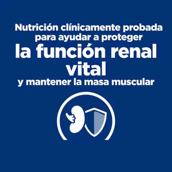 605649-Hill's Prescription Diet k/d Cuidado Renal alimento húmedo para gatos con pollo - Latas de 156g x 24 unidades - Imagen 4