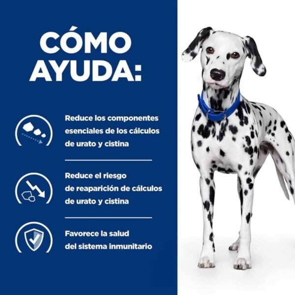 Hill's Prescription Diet u/d Urinary Care - alimento seco para perros - Imagen 2