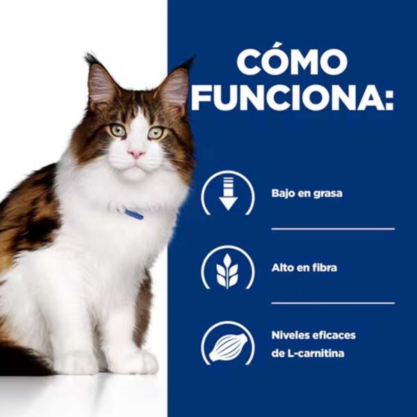 605849-Hill's Prescription Diet w/d Multibeneficio alimento seco para gatos con pollo - Envase de 3kg - Imagen 4