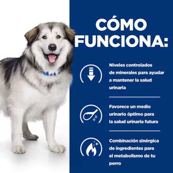 605852-Hill's Prescription Diet c/d Multicare + Metabolic, Cuidado Urinario y Control de Peso alimento seco para perros con pollo - Imagen 4