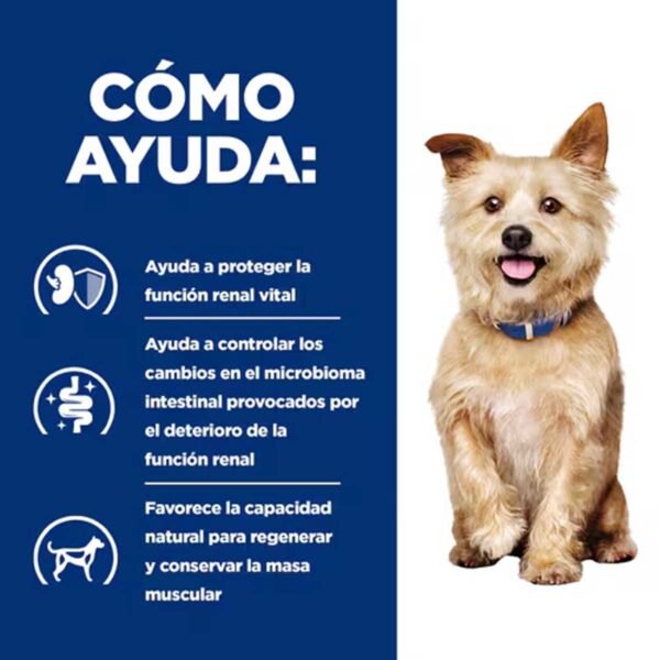 605879- Hill's Prescription Diet k/d Cuidado Renal alimento seco para perros con pollo - Imagen 4