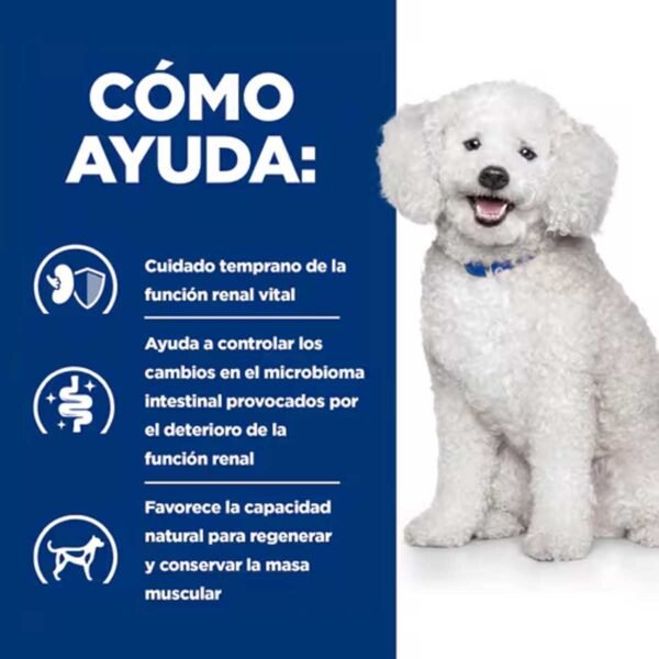 605881- Hill's Prescription Diet k/d Early Stage Cuidado Renal alimento seco para perros - Imagen 3