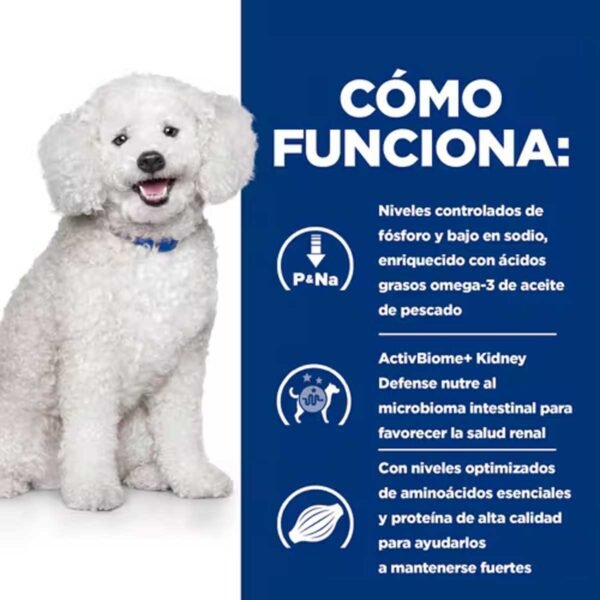 605881- Hill's Prescription Diet k/d Early Stage Cuidado Renal alimento seco para perros - Imagen 2