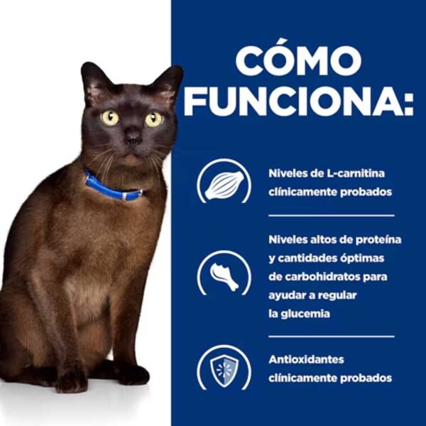 605918-Hill's Prescription Diet m/d Cuidado para la Diabetes alimento seco para gatos con pollo - Envase de 1,5kg - Imagen 4