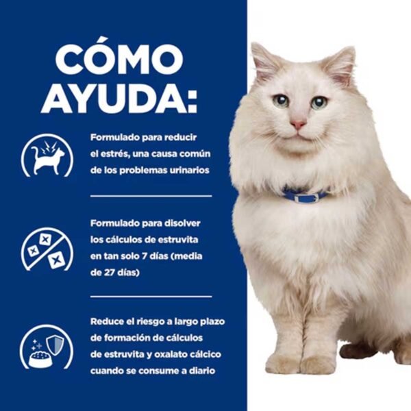 605948-Hill's Prescription Diet c/d Multicare Stress Urinary Cuidado Urinario alimento seco para gatos con pollo - Envase de 8kg - Imagen 5