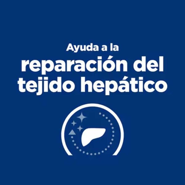 605968-Hill's Prescription Diet l/d Cuidado Hepático alimento seco para gatos con pollo - Envase de 1,5kg - Imagen 6