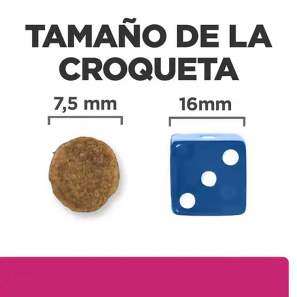 606202- Hill’s Prescription Diet Gastrointestinal Biome Mini alimento seco para perros con pollo - Imagen 2