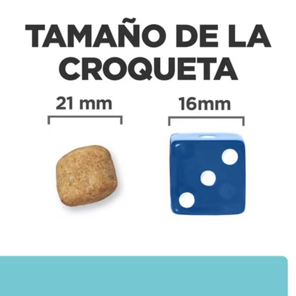 606381- Hill's PRESCRIPTION DIET t/d Mini Cuidado Dental alimento seco para perros con pollo - Imagen 2