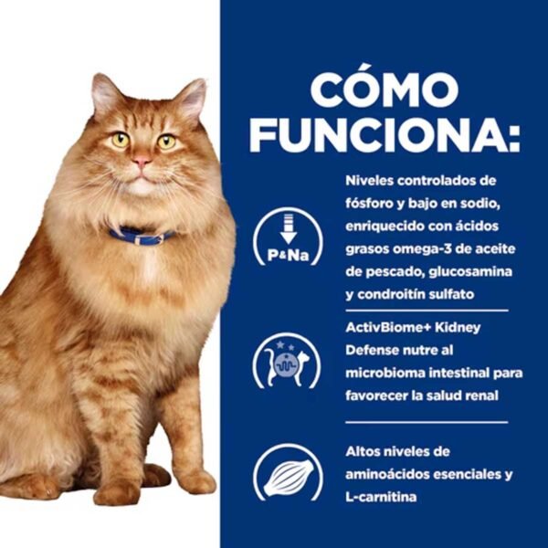 606384-Hill's Prescription Diet k/d + Mobility alimento seco para gatos con pollo - Envase de 1,5kg - Imagen 5