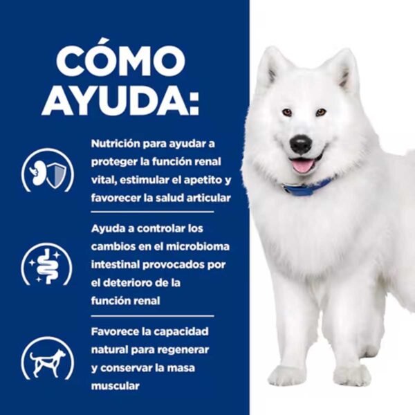 606385- Hill's Prescription Diet k/d + Mobility alimento seco para perros con pollo - Imagen 3