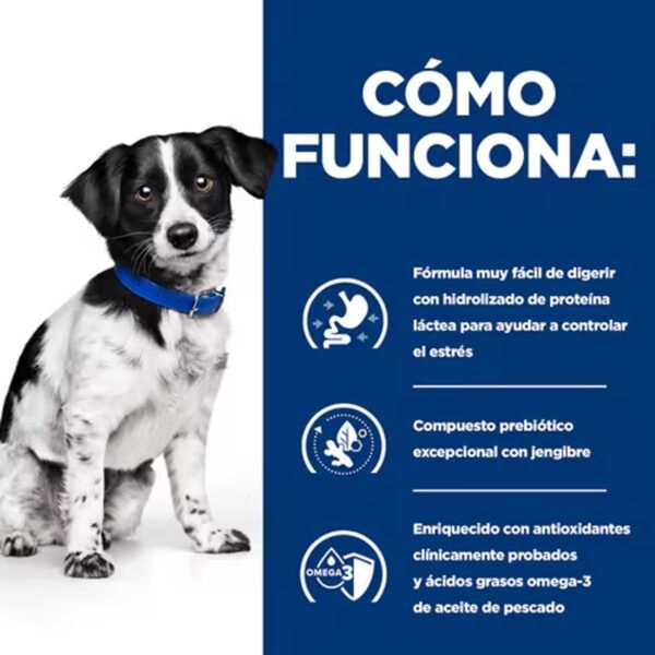 606414- Hill's Prescription Diet i/d Stress Cuidado Digestivo estofado para perros con pollo y verduras - Latas de 156g x 24 unidades - Imagen 4