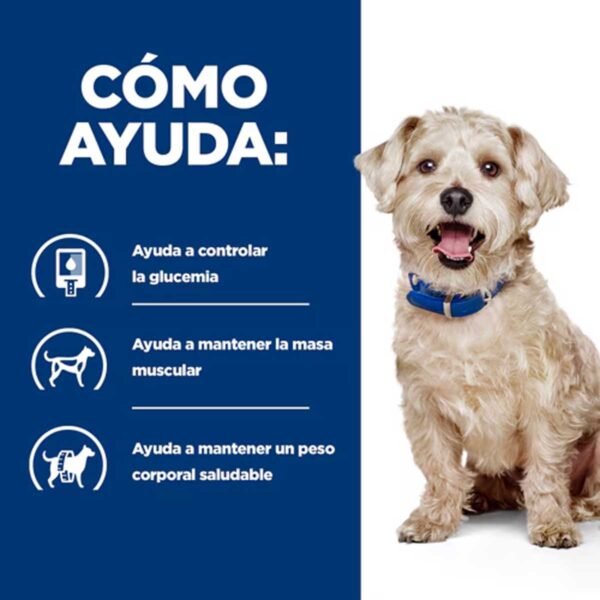 607220- Hill's Prescription Diet w/d Cuidado de la Diabetes alimento húmedo para perros con pollo - Latas de 370g x 12 unidades - Imagen 3