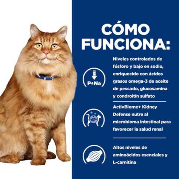 607554-Hill's Prescription Diet k/d + Mobility alimento para gatos con pollo - Bolsitas de 85g x 12 unidades - Imagen 3