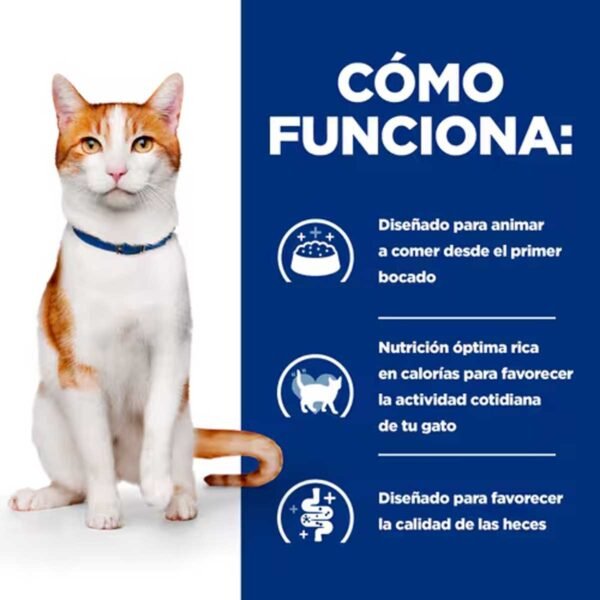 607675-Hill's Prescription Diet On-Care alimento seco para gatos con pollo - Envase de 1,5kg - Imagen 3