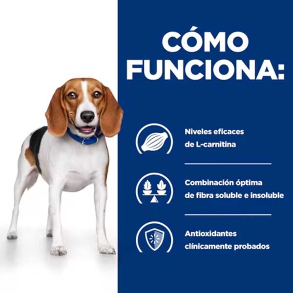 607711- Hill's Prescription Diet r/d Reducción de Peso alimento húmedo para perros - Lata de 350g x 12 unidades - Imagen 4