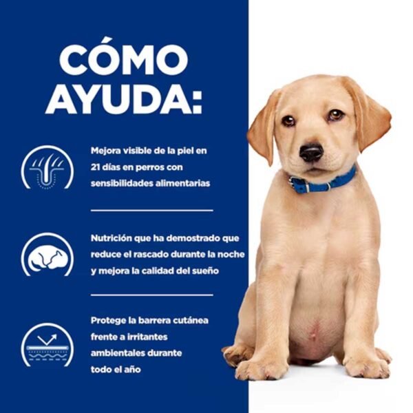 607779- Hill's Prescription Diet Derm Complete Sensibilidades Alimentarias/Ambientales fórmula de arroz y huevo alimento seco para cachorros - Envase de 1,5kg x 6 unidades - Imagen 3