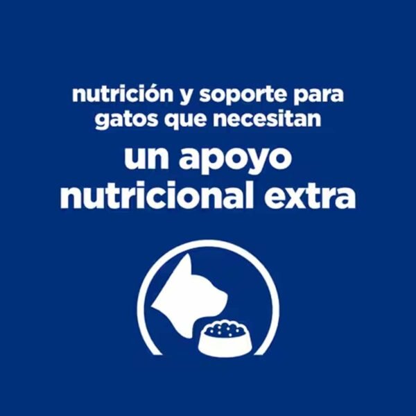 608464-Hills Prescription Diet Feline ON-Care estofado con pollo y verduras (lata) 82g - Imagen 6