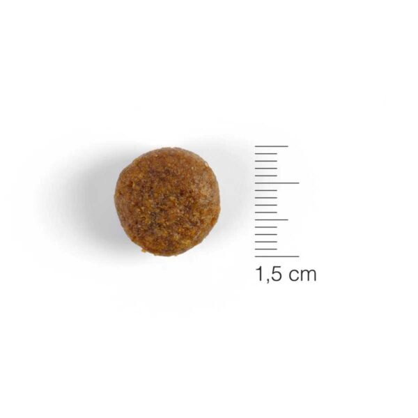 Natura Diet Puppy Junior Large Breed - 12Kg - Imagen 2