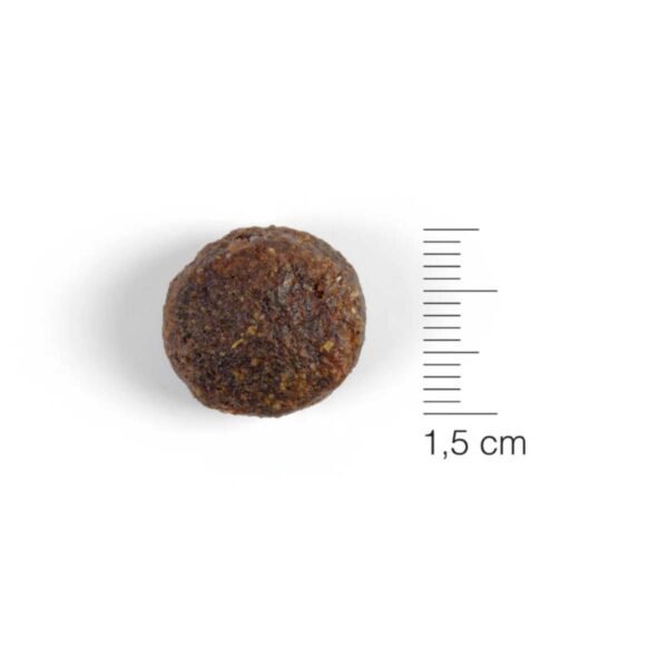 Natura Diet Ibérico & Rice- 12Kg - Imagen 2